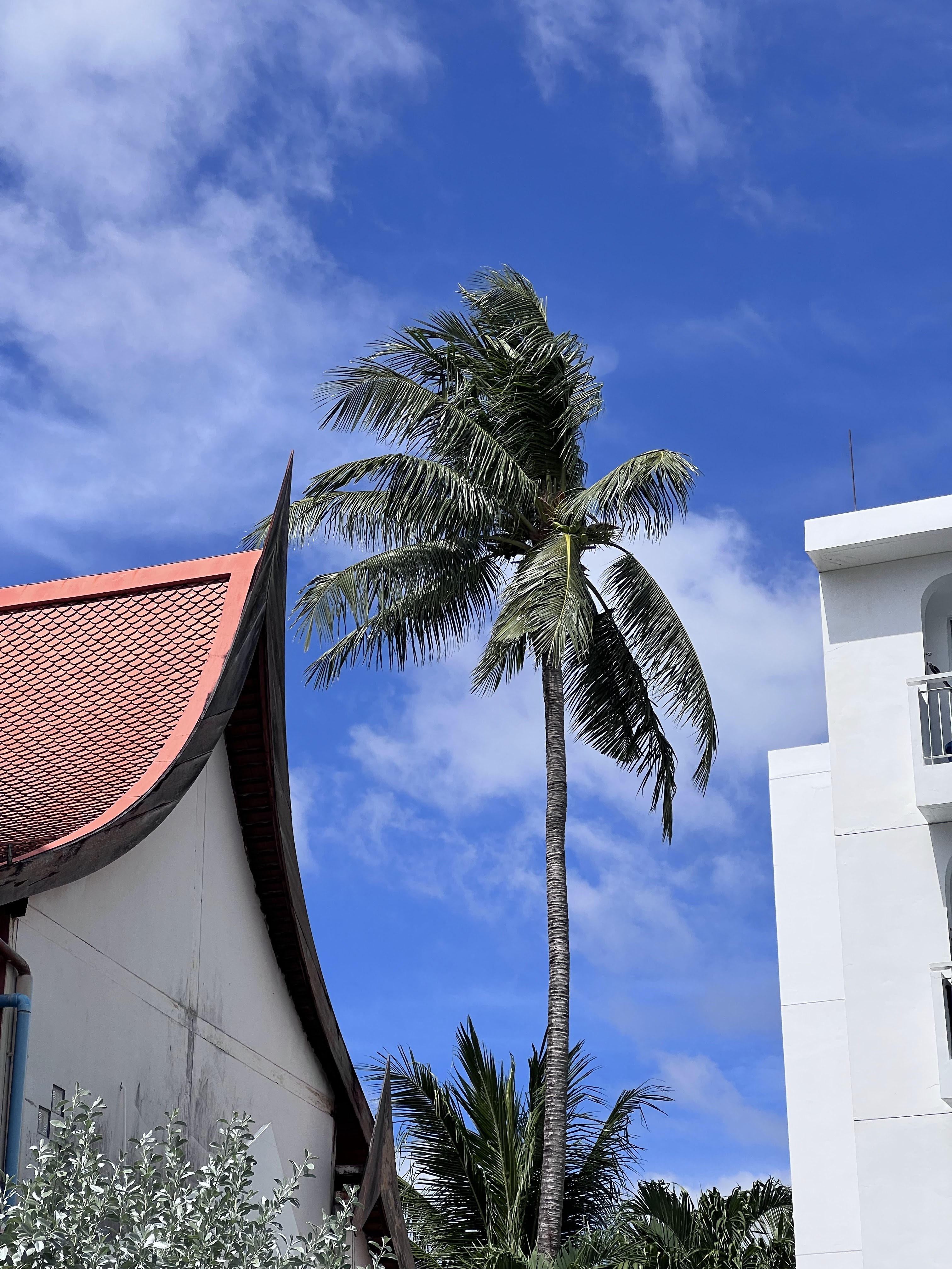 Bangkok Rooftop Bars & Nightlife Tours