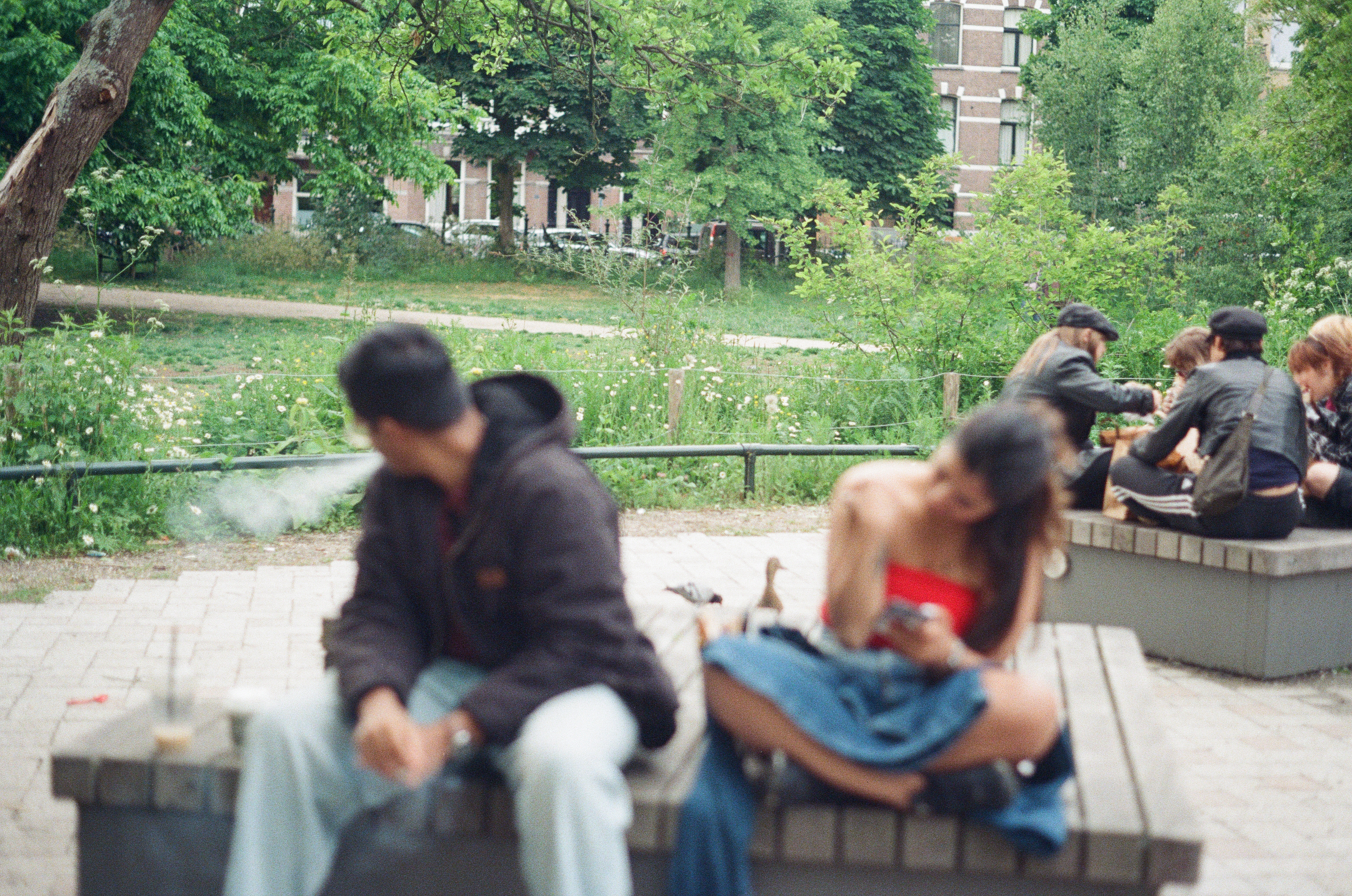 Morning Market — Bangkok, Thailand